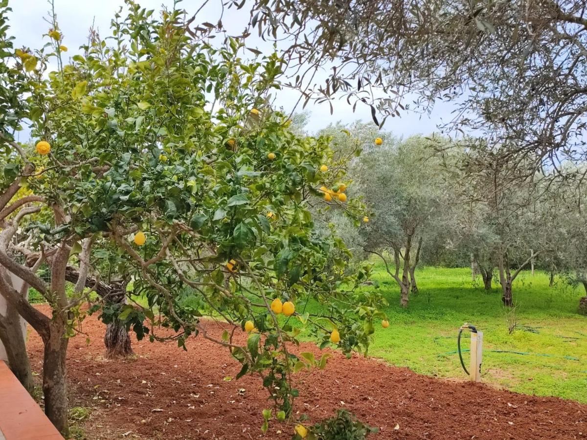 Casa Vacanze Da Nonna Mela Alghero Zewnętrze zdjęcie